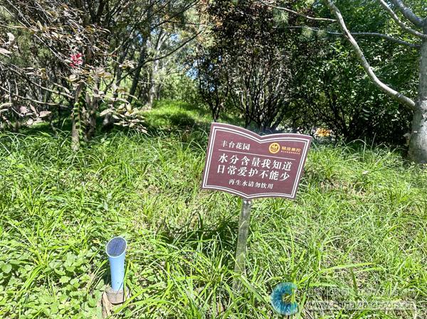 丰台花园中的墒情检测仪 本报通讯员 郝诗宁 摄