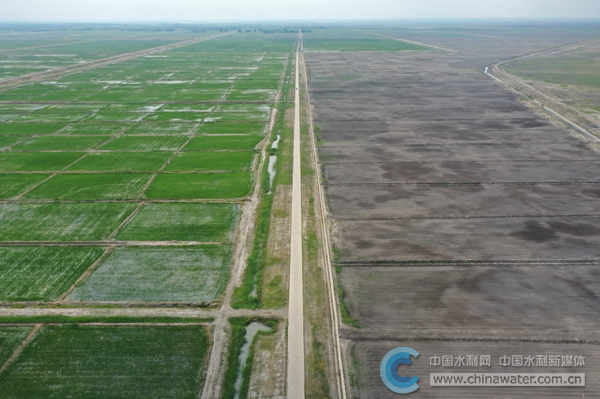 吉林省引嫩入白工程盐碱地治理(图左为盐碱地改良后种植的水稻田,图右为正在改良中未种植的盐碱地)