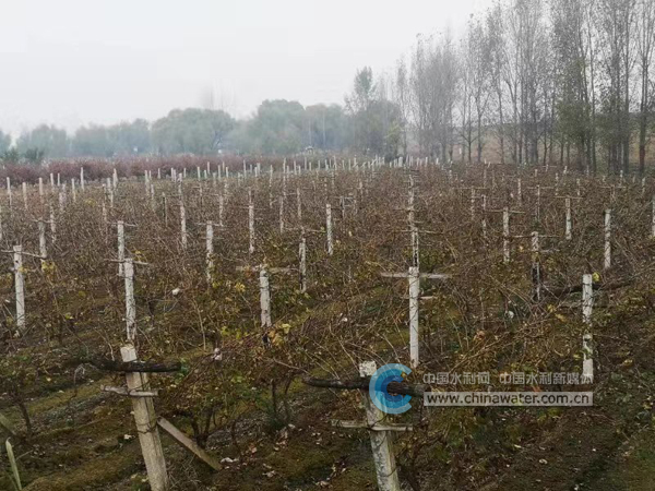 ΢��ͼƬ_20191113093802.jpg